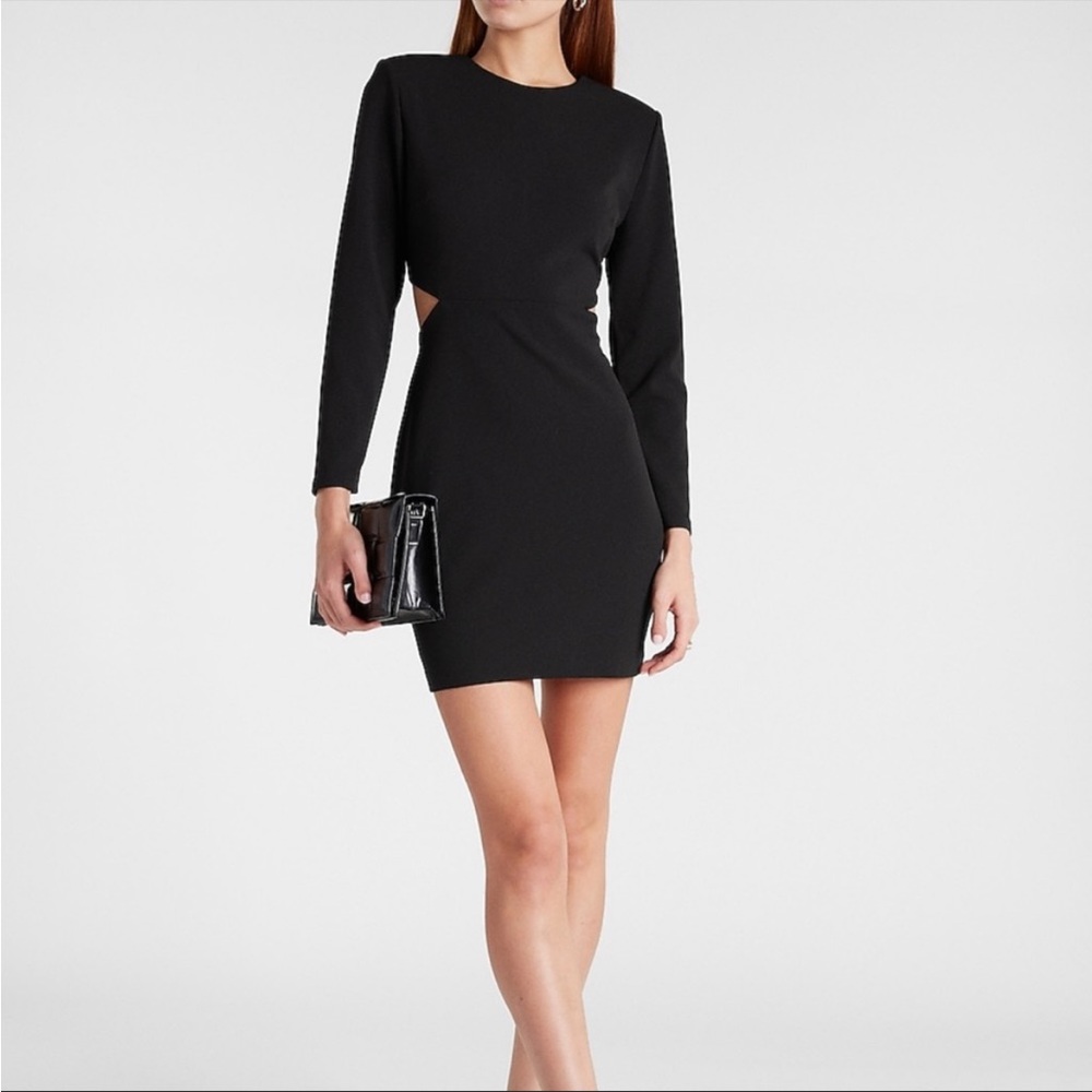 Express Side Cut Out Mini Dress